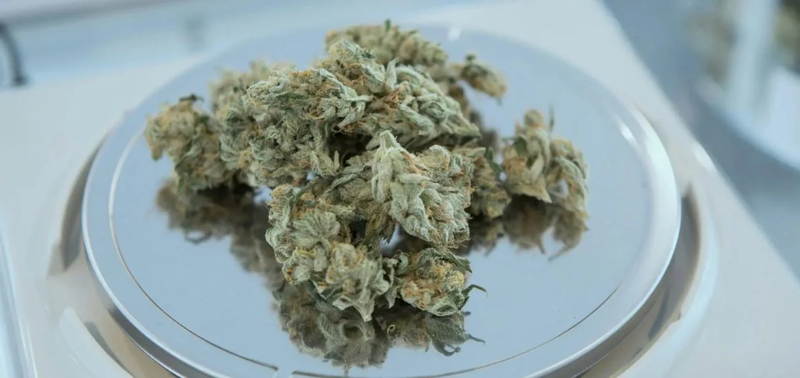 The Ultimate Beginner’s Guide to Online Dispensary Canada