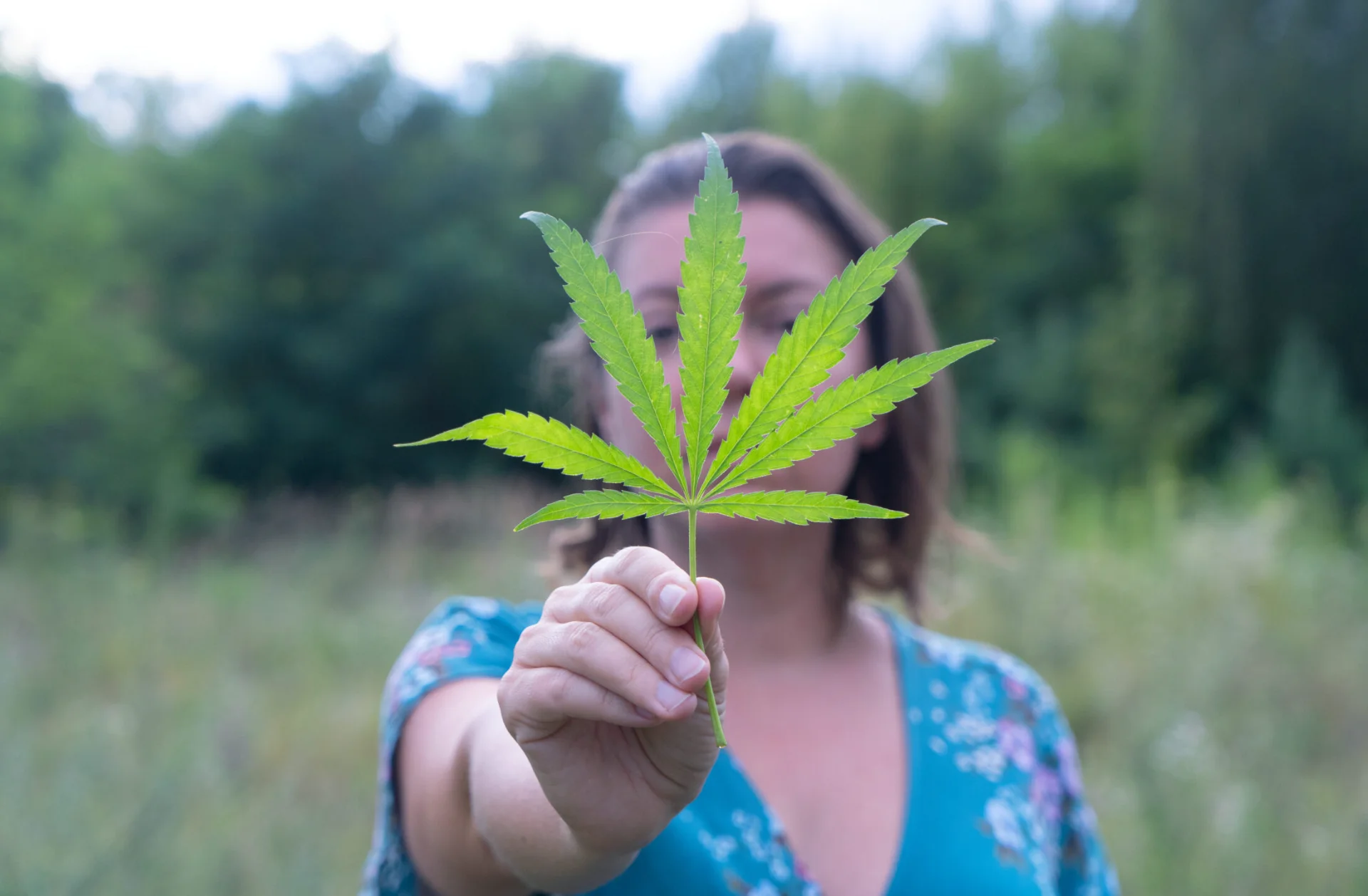 Top 20 Cannabis Stores in Surrey (2025 Edition)