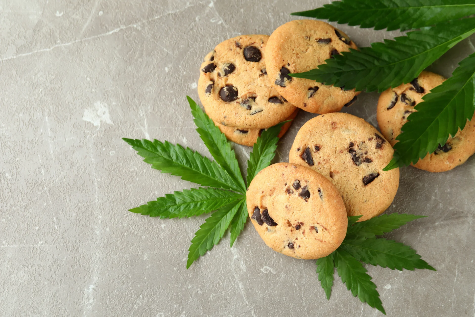 Cannabis Infused Edibles: Simple Recipes for Tasty Snacks