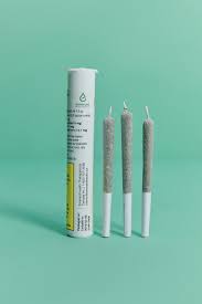 Hash Plant Pre-Roll