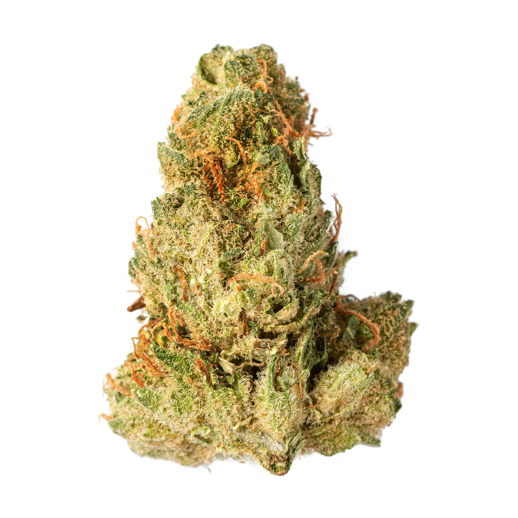Sativa