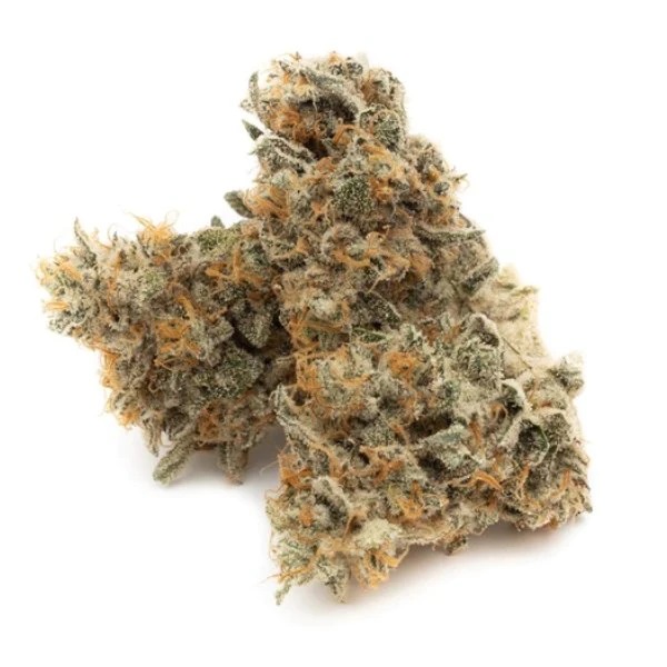 Space Flight Superstar #11