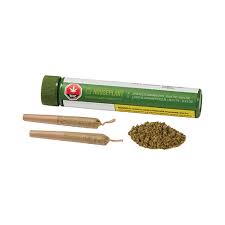 Houseplant Hybrid Pre-Roll