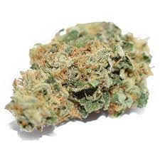 Biomed Indica