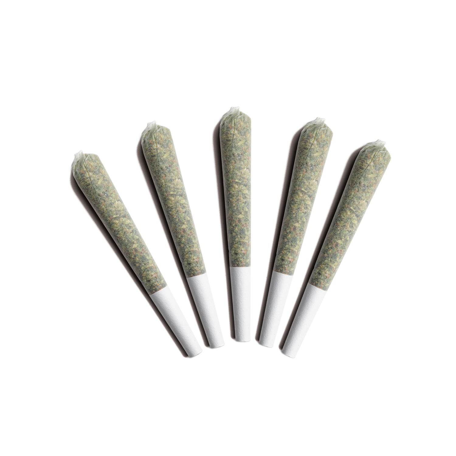 Plpk Pre-Rolls