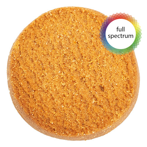 Cinnamon Biscuit