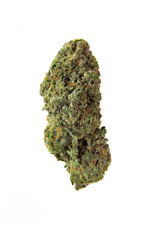 Bandwagon Sativa
