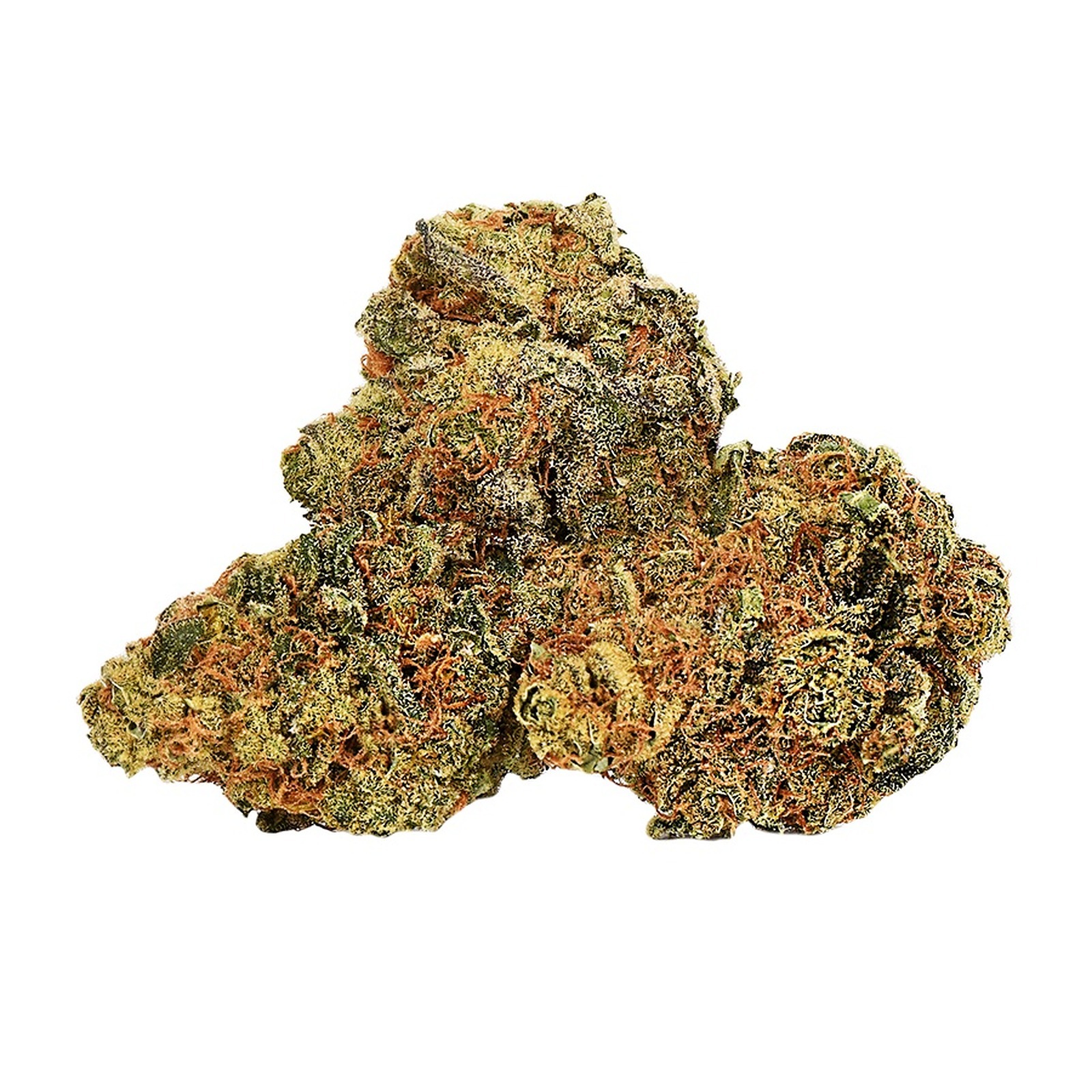Cactus Breath