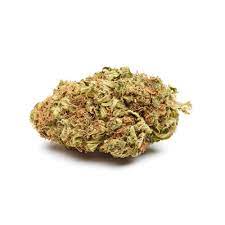 Summer Jam Pre-Roll