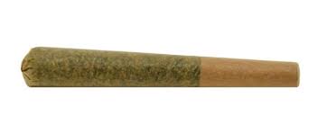 Glueberry Og Pre-Roll