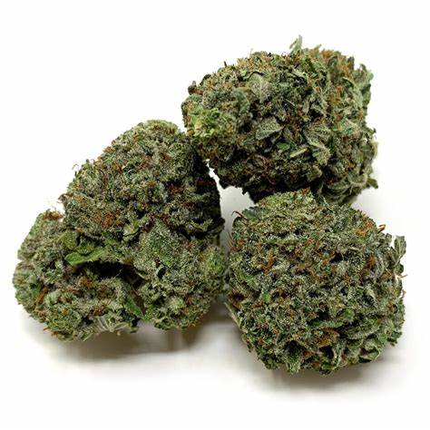 Black Tuna Pre-Rolls