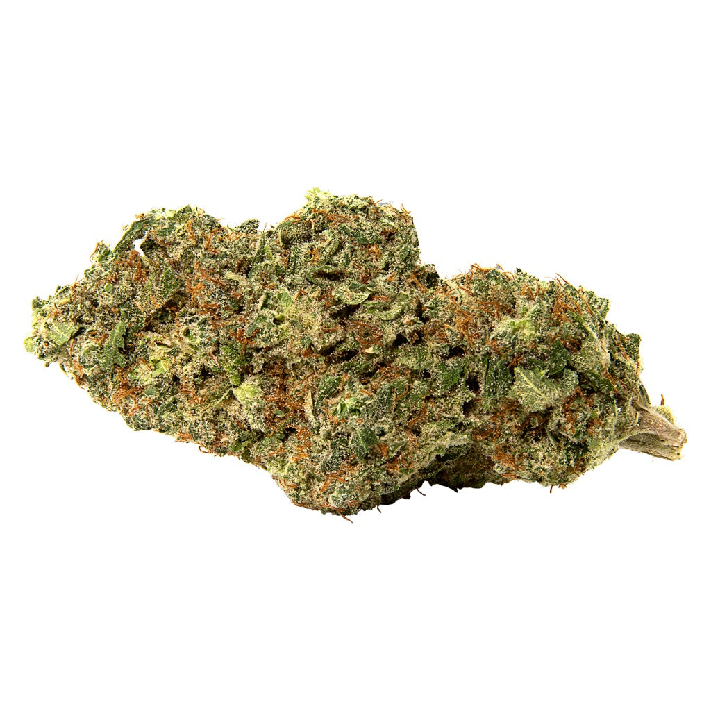 Afghani Drifter