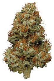 Green Haze