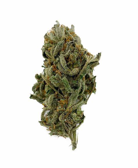 Sour Amnesia