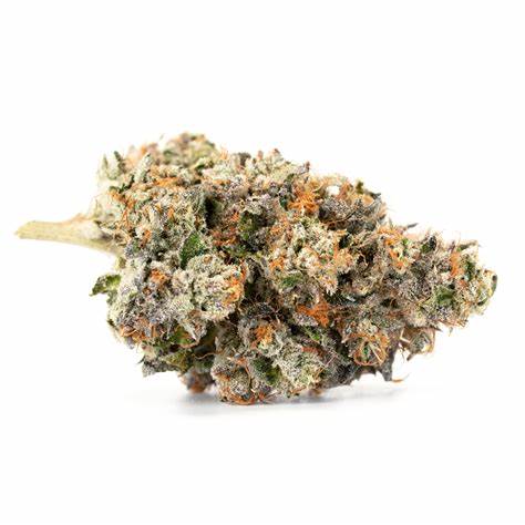 Nitro Cookies