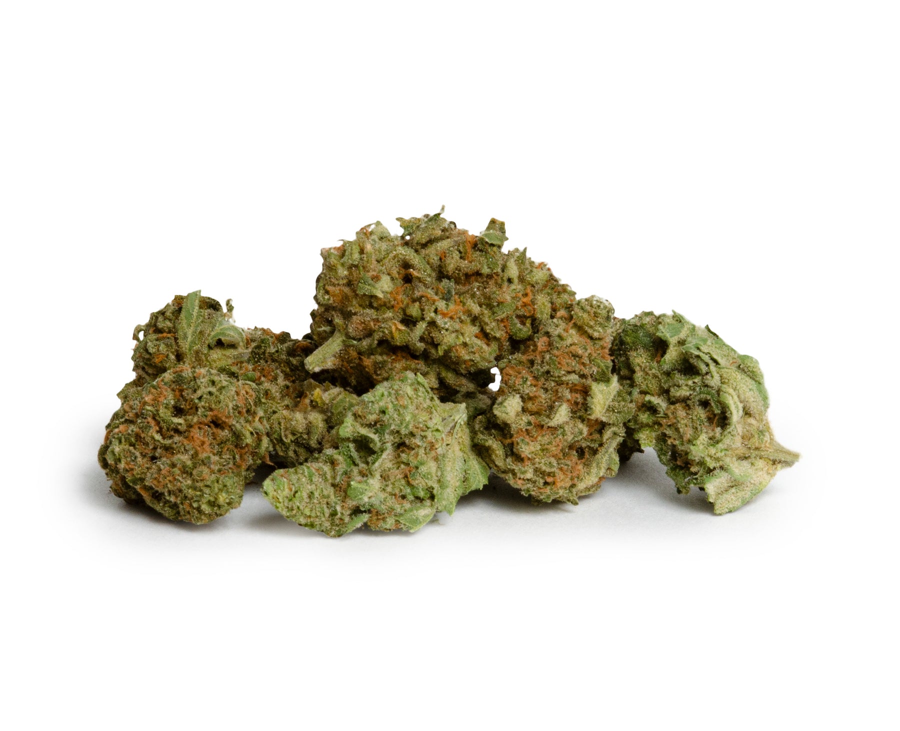 Os. Indica