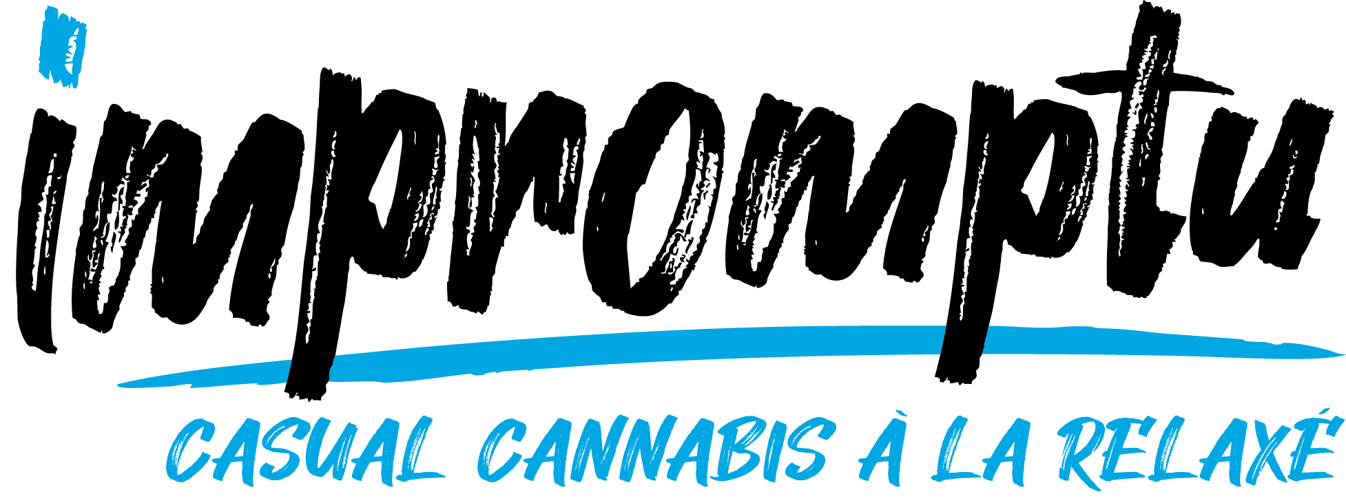 Cbd Seltzer Standard Can
