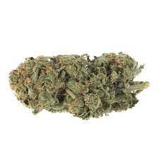 Og Kush