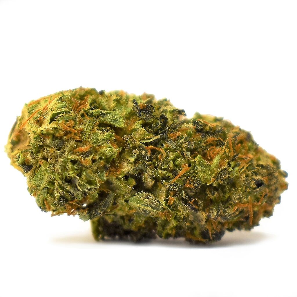 Blueberry Seagal