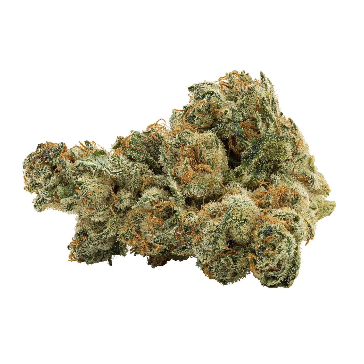 Vanilla Gelato