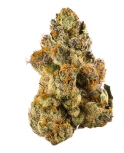 Cookies Gelato