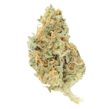 Orange Bud 3.5G