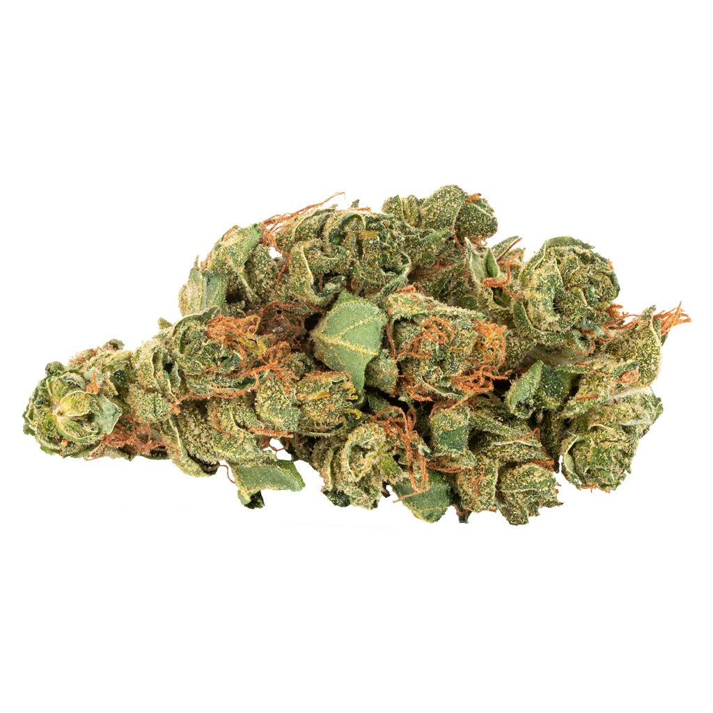 Sativa