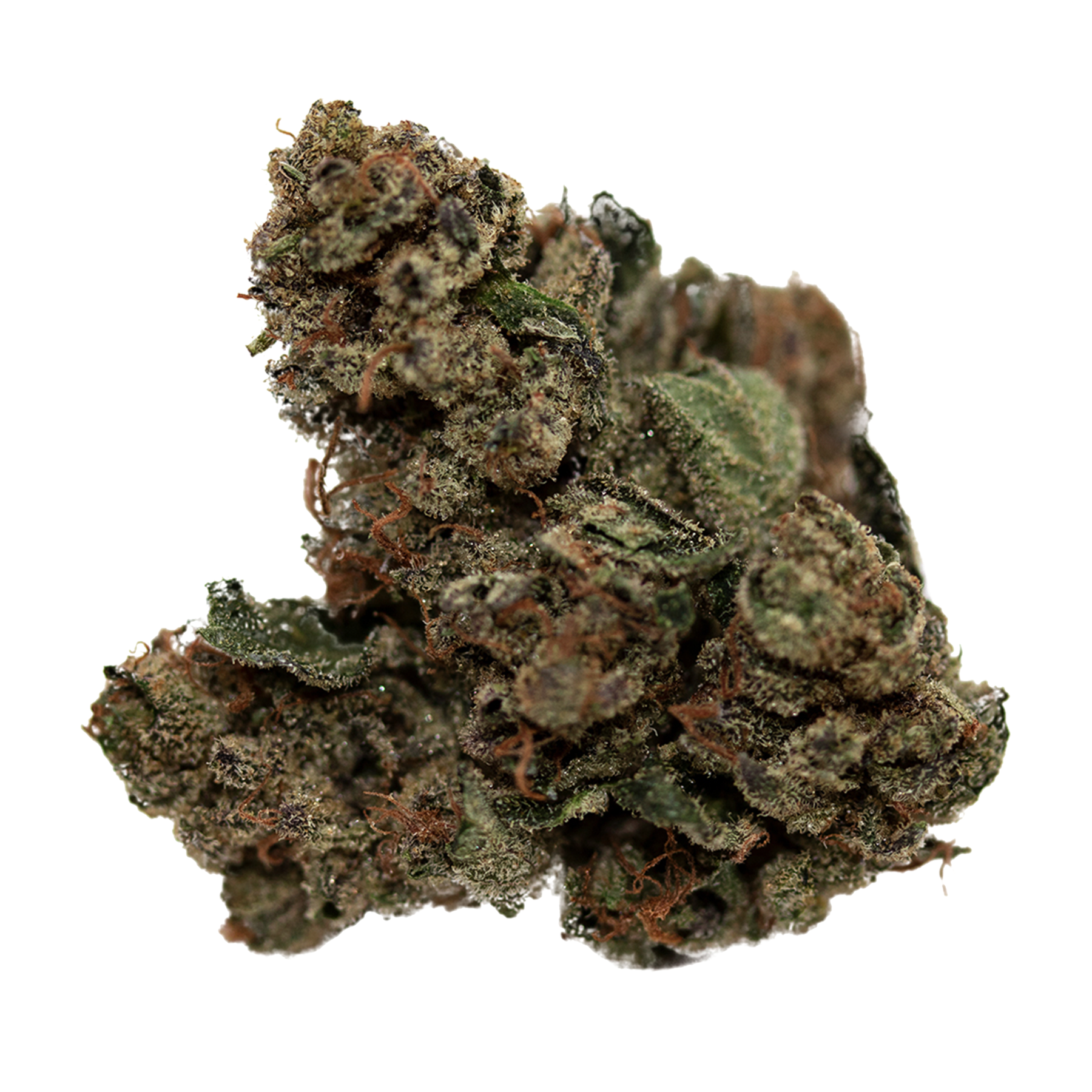 Gg4