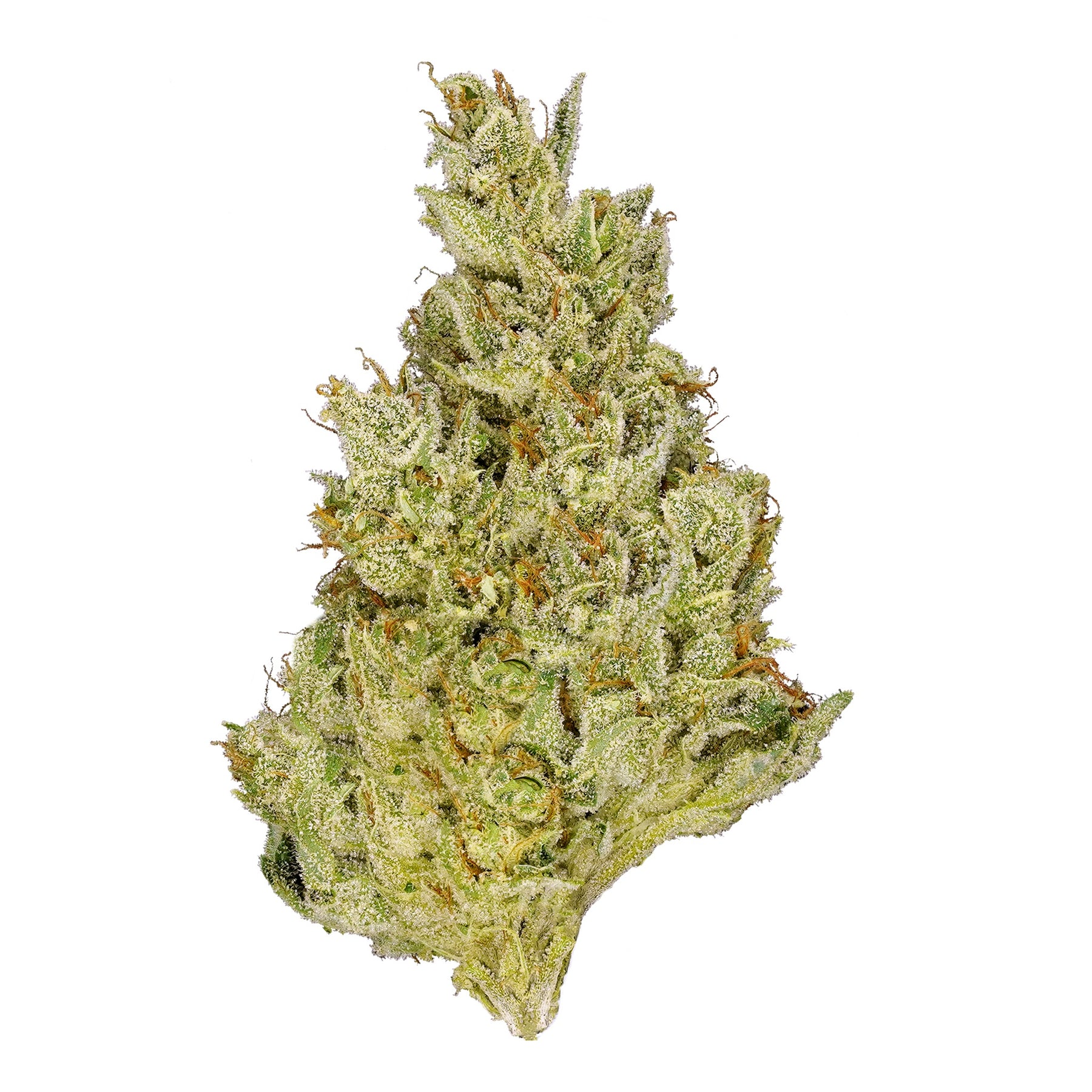 Pacific Og