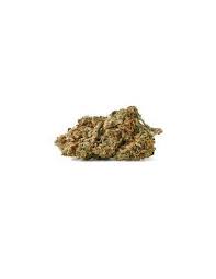 Biomed Hybrid