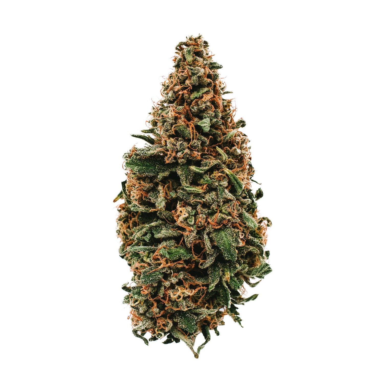 Os. One Durban Poison