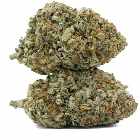 Grease Monkey