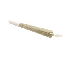 Gelato Pre-Rolls