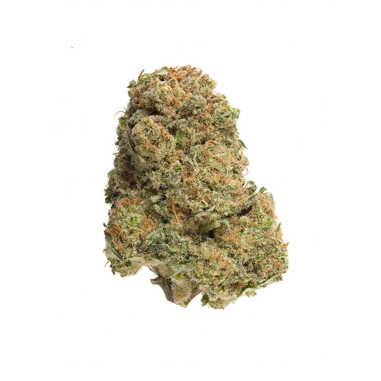 Bandwagon Indica
