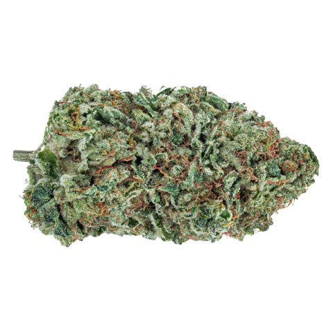 Organic Maple Kush