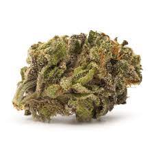 Sativa