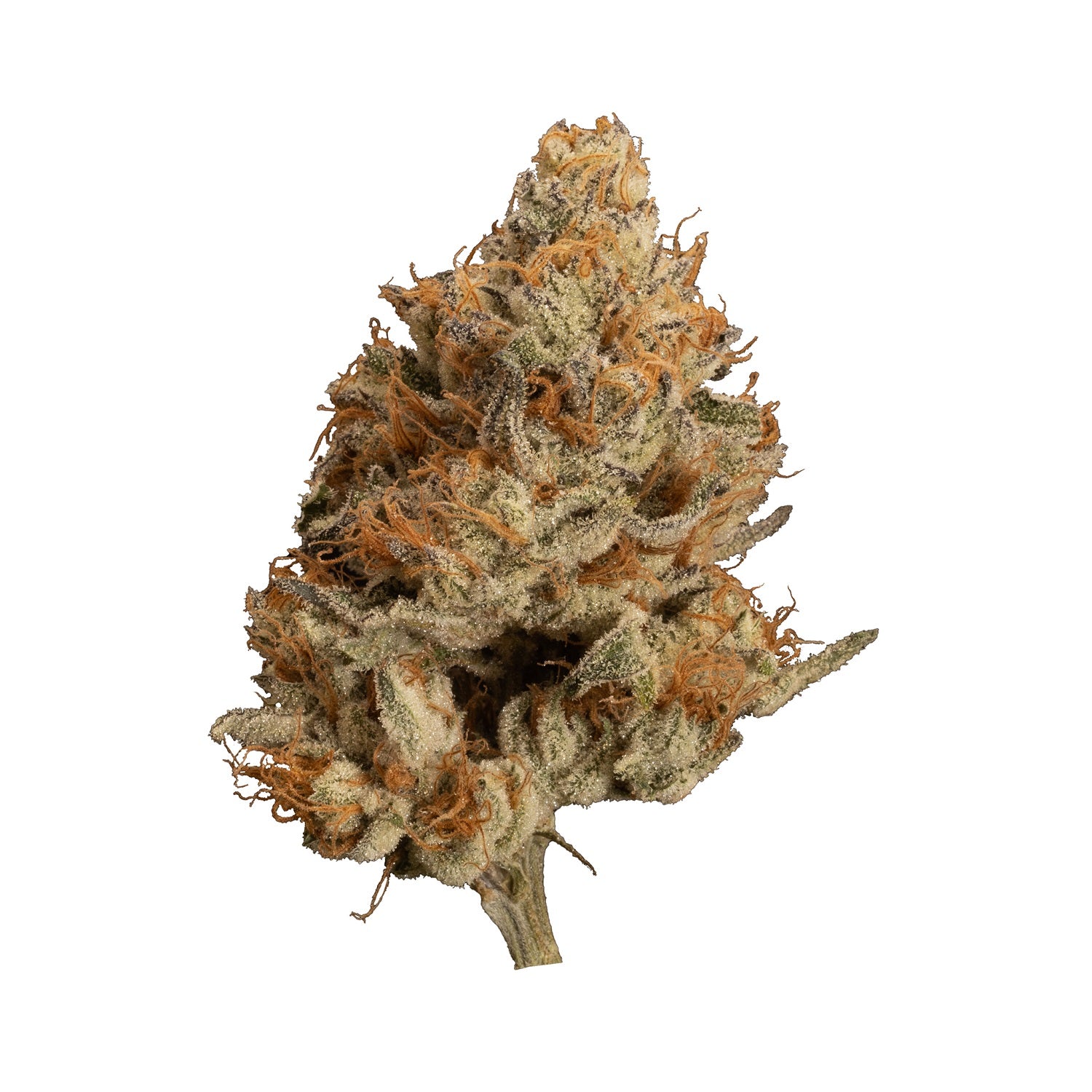 Bacio Punch #8