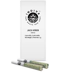 Jack Herer Pre-Roll