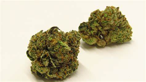 Jungle Cake