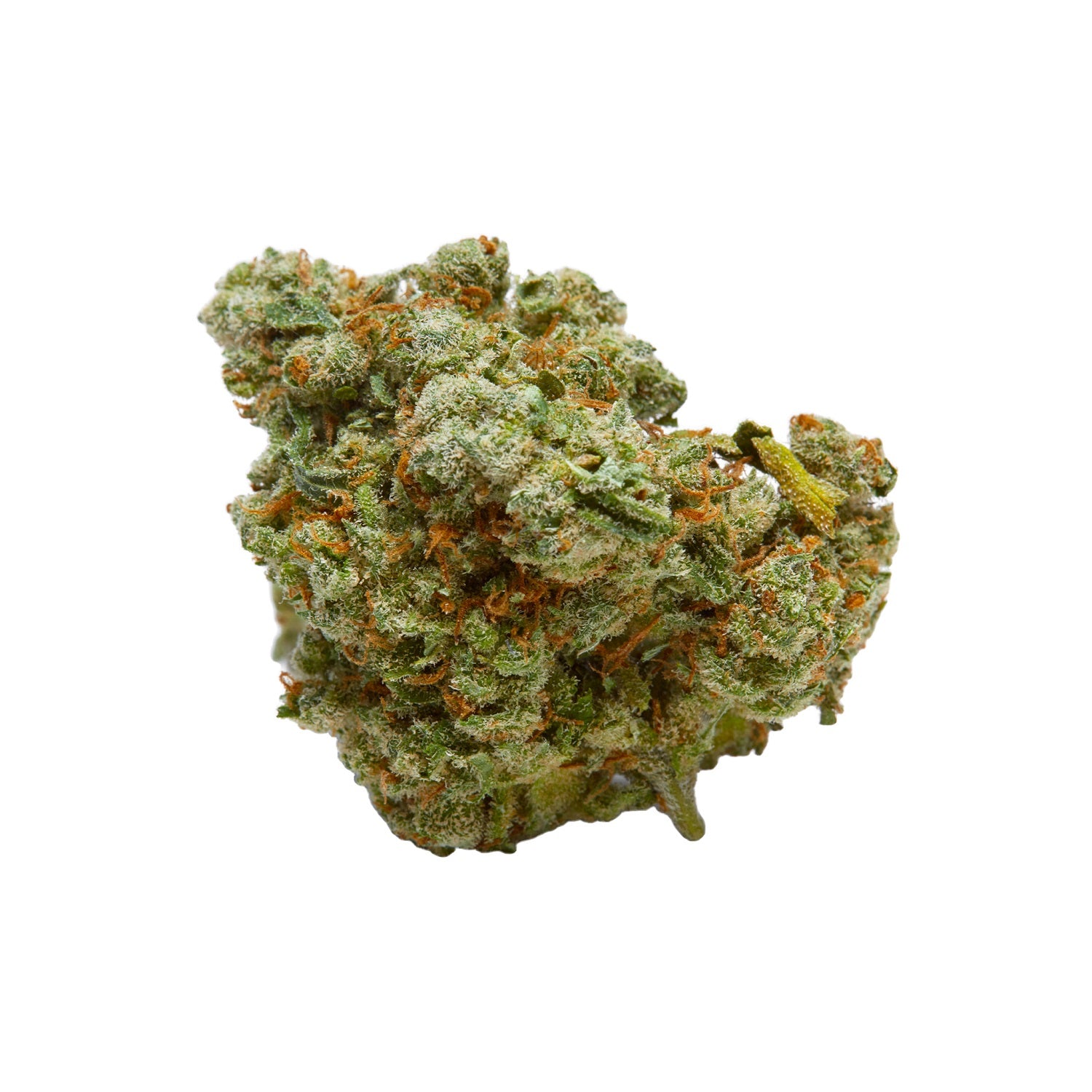 Cali Orange Bud