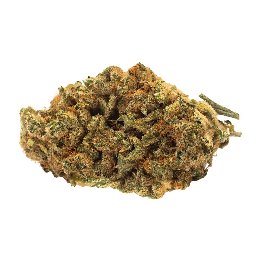 Simple Stash Indica