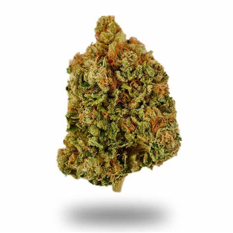 Sour Kosher