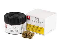 Cbd Capsules