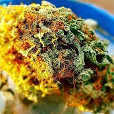No. 404 La Confidential