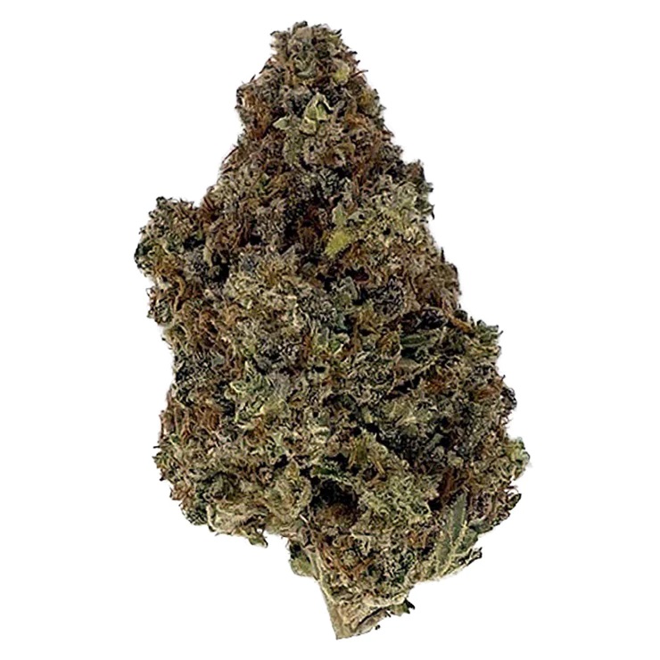 Craft Lilac Diesel