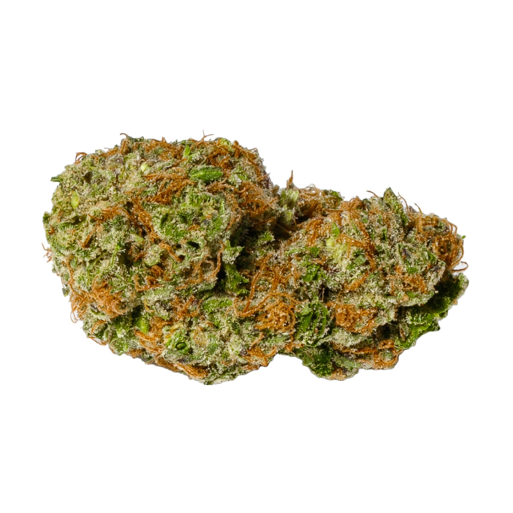Indica