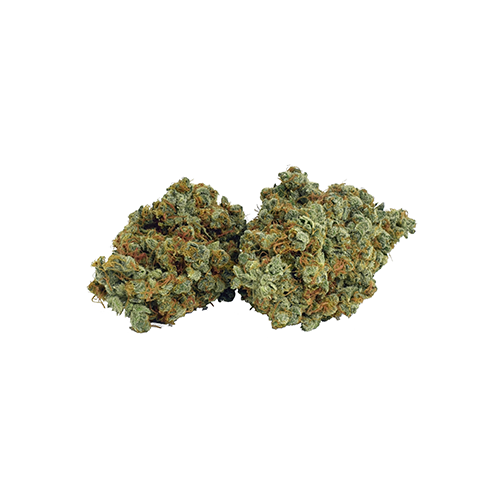 Northern Lights Haze