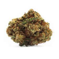 Houseplant Sativa