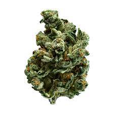 Alien Dawg