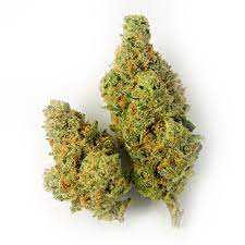 Blueberry Seagal